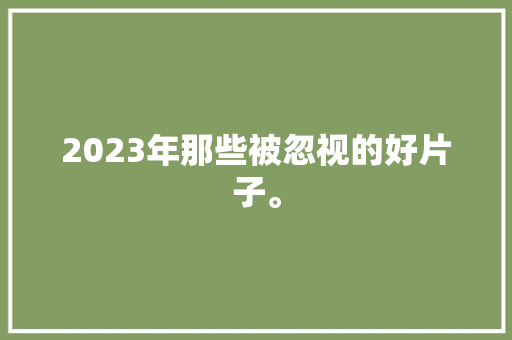 2023年那些被忽视的好片子。