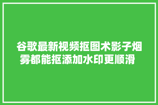 谷歌最新视频抠图术影子烟雾都能抠添加水印更顺滑  开源