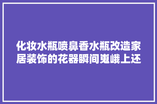 化妆水瓶喷鼻香水瓶改造家居装饰的花器瞬间嵬峨上还不用花一分钱