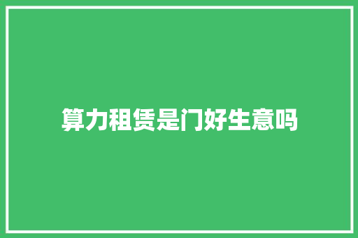 算力租赁是门好生意吗