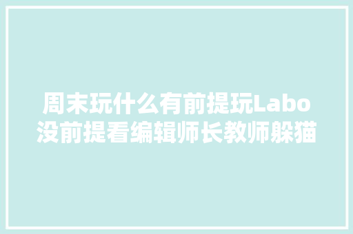 周末玩什么有前提玩Labo没前提看编辑师长教师躲猫和试玩Labo