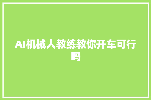 AI机械人教练教你开车可行吗