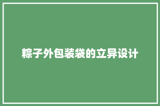 粽子外包装袋的立异设计