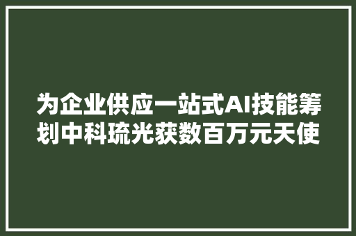 为企业供应一站式AI技能筹划中科琉光获数百万元天使轮融资  36氪首发