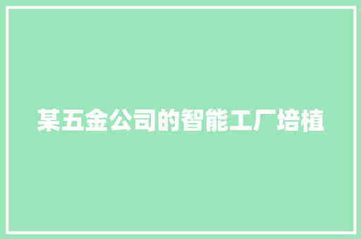 某五金公司的智能工厂培植