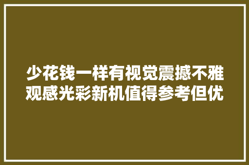 少花钱一样有视觉震撼不雅观感光彩新机值得参考但优势并非机能