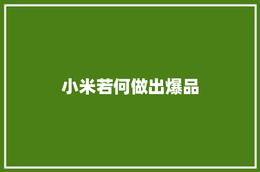 小米若何做出爆品