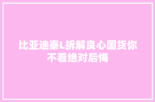 比亚迪秦L拆解良心国货你不看绝对后悔