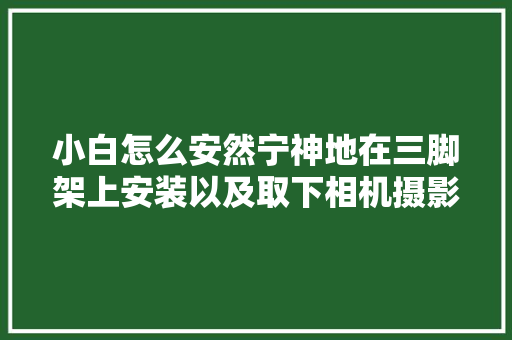 小白怎么安然宁神地在三脚架上安装以及取下相机摄影器材