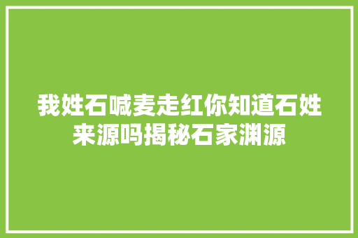 我姓石喊麦走红你知道石姓来源吗揭秘石家渊源