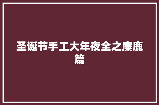 圣诞节手工大年夜全之麋鹿篇