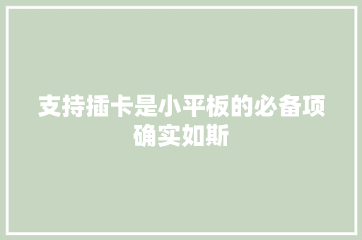 支持插卡是小平板的必备项确实如斯