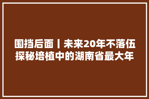 围挡后面丨未来20年不落伍探秘培植中的湖南省最大年夜的AI算力中央