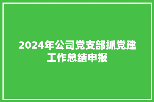 2024年公司党支部抓党建工作总结申报