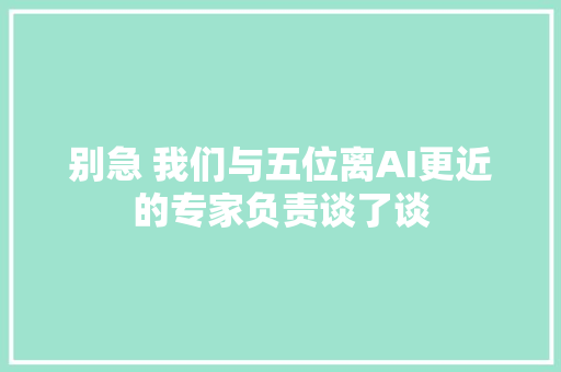 别急 我们与五位离AI更近的专家负责谈了谈