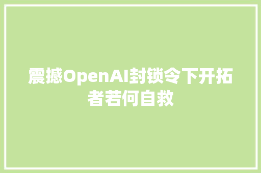 震撼OpenAI封锁令下开拓者若何自救