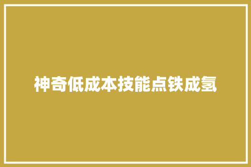 神奇低成本技能点铁成氢