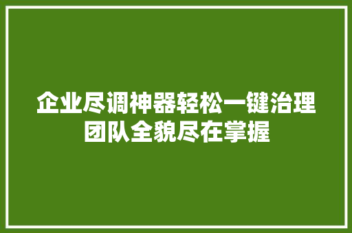 企业尽调神器轻松一键治理团队全貌尽在掌握