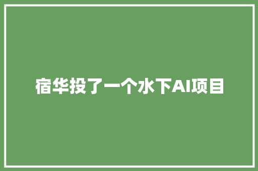 宿华投了一个水下AI项目