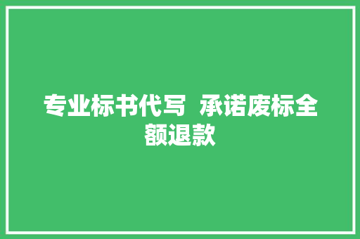 专业标书代写  承诺废标全额退款