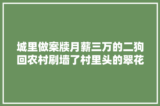 城里做案牍月薪三万的二狗回农村刷墙了村里头的翠花开直播了