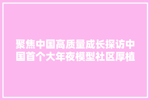 聚焦中国高质量成长探访中国首个大年夜模型社区厚植AI成长膏壤