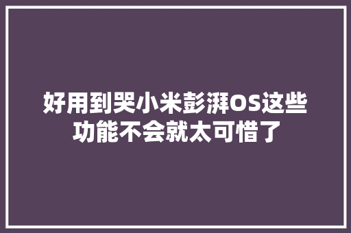 好用到哭小米彭湃OS这些功能不会就太可惜了