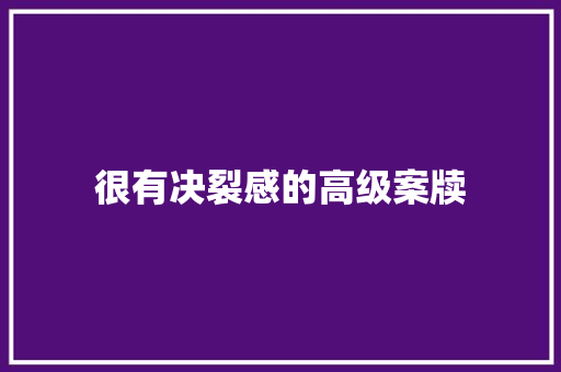 很有决裂感的高级案牍