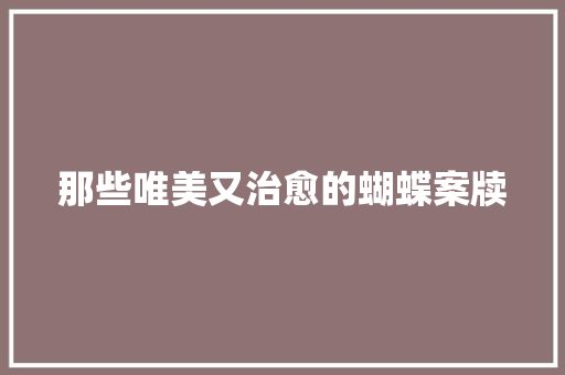 那些唯美又治愈的蝴蝶案牍