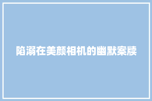 陷溺在美颜相机的幽默案牍