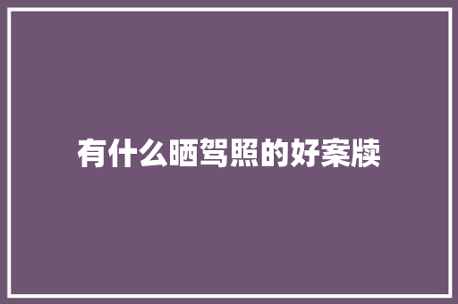 有什么晒驾照的好案牍