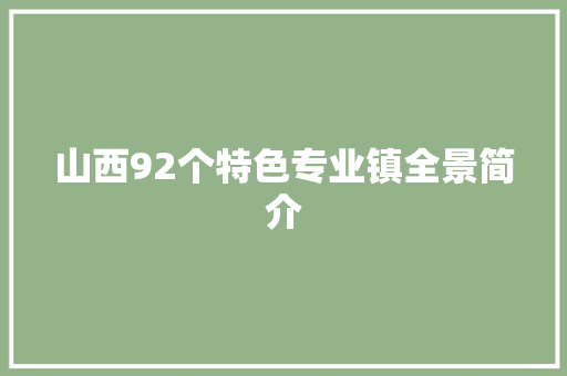 山西92个特色专业镇全景简介