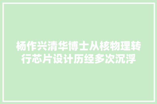 杨作兴清华博士从核物理转行芯片设计历经多次沉浮