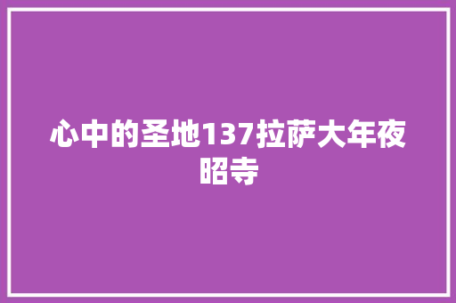 心中的圣地137拉萨大年夜昭寺