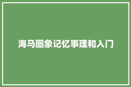 海马图象记忆事理和入门