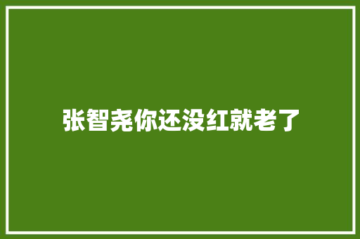 张智尧你还没红就老了