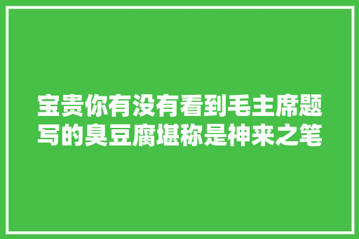 宝贵你有没有看到毛主席题写的臭豆腐堪称是神来之笔。