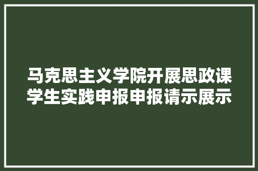 马克思主义学院开展思政课学生实践申报申报请示展示活动