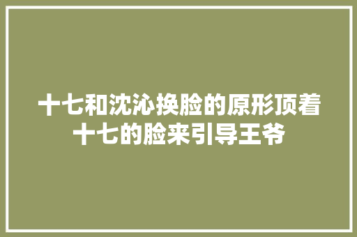 十七和沈沁换脸的原形顶着十七的脸来引导王爷