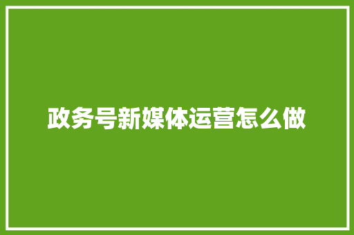 政务号新媒体运营怎么做