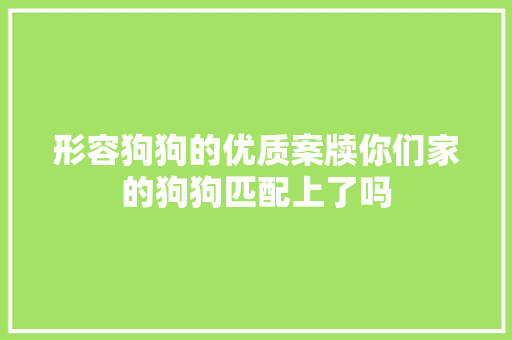 形容狗狗的优质案牍你们家的狗狗匹配上了吗