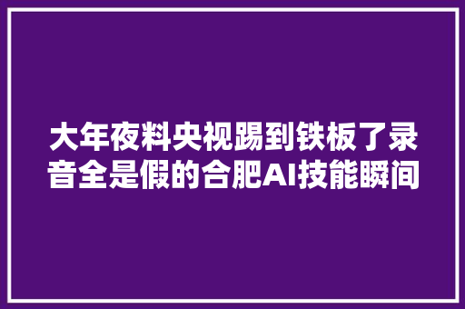 大年夜料央视踢到铁板了录音全是假的合肥AI技能瞬间领先全世界