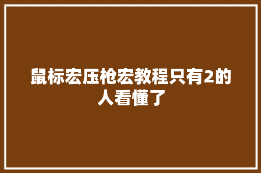 鼠标宏压枪宏教程只有2的人看懂了