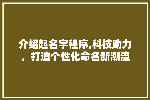 介绍起名字程序,科技助力，打造个性化命名新潮流