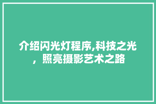 介绍闪光灯程序,科技之光，照亮摄影艺术之路