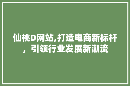 仙桃D网站,打造电商新标杆，引领行业发展新潮流