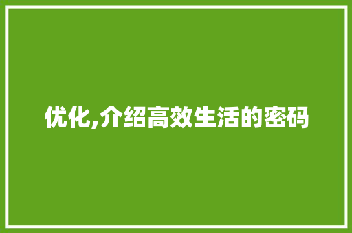 优化,介绍高效生活的密码