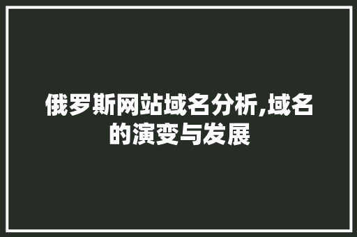 俄罗斯网站域名分析,域名的演变与发展