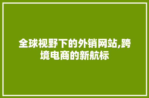 全球视野下的外销网站,跨境电商的新航标