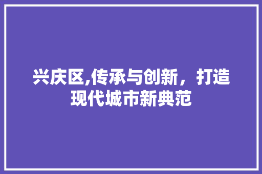 兴庆区,传承与创新，打造现代城市新典范